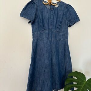 Madewell Indigo Denim Dress
